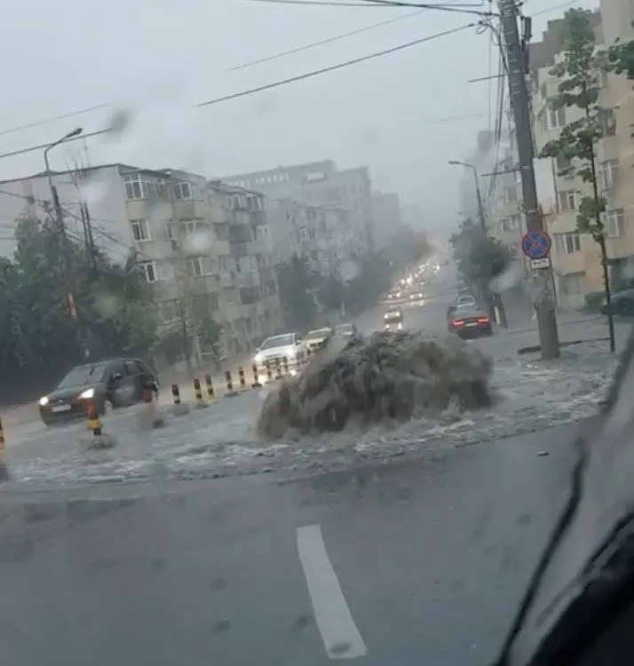 sf lazar