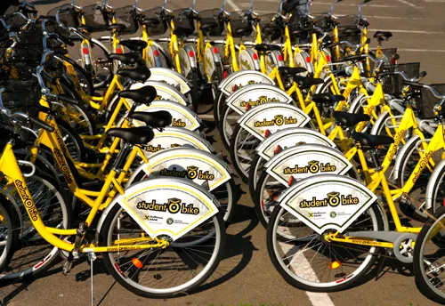 biciclete