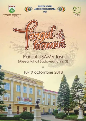 Targul