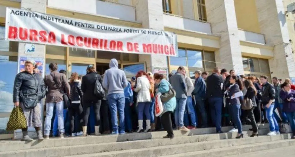 bursa-locuri-de-munca