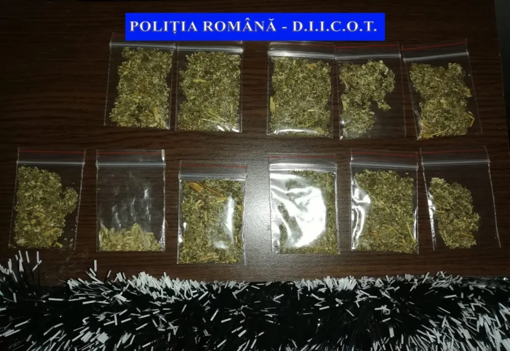 Cercetați pentru efectuare de operaţiuni fără drept cu substanţe susceptibile a avea efecte psihoactive 