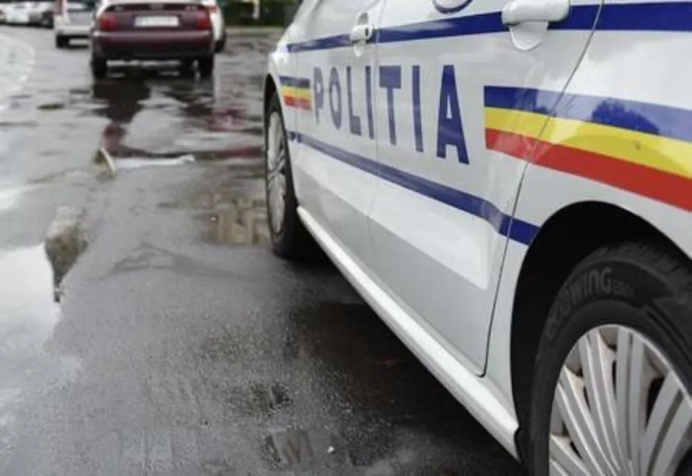 Tineri bănuiți de furt de arbori, identificați de polițiști