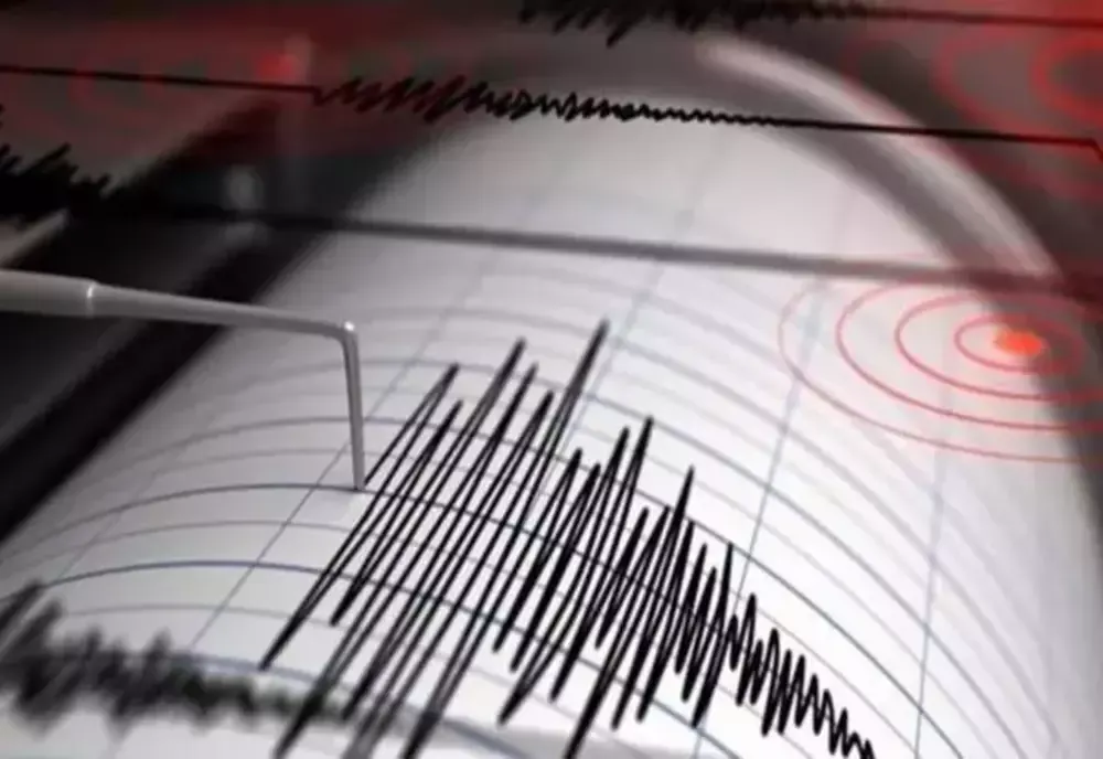 Un cutremur cu magnitudinea 3.0 a avut loc miercuri dimineaţă