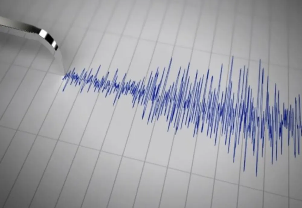 Cutremur de 3,6 grade, în România, vineri dimineață. Activitate seismică intensă