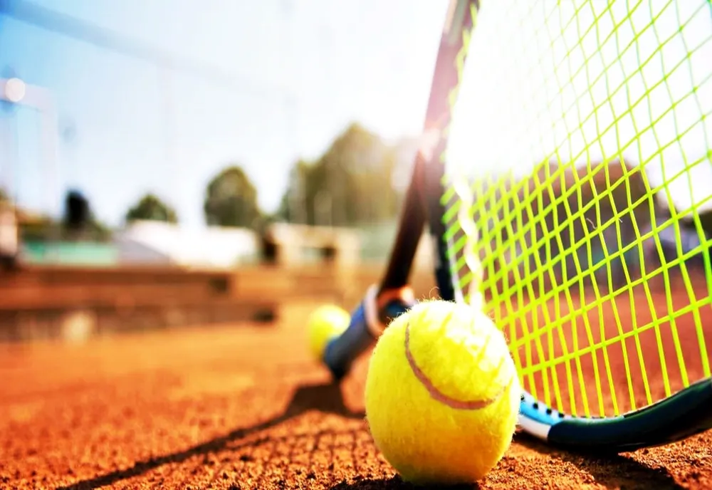 Justiția a decis. Ministerul Sportului a încălcat legea pentru că a refuzat finanțarea Federației Române de Tenis