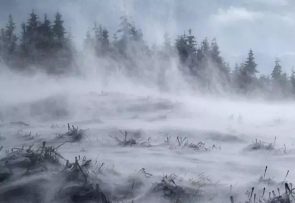 Alertă meteo de fenomene extreme: cod portocaliu de ninsori și vânt puternic. România, lovită de vortexul polar