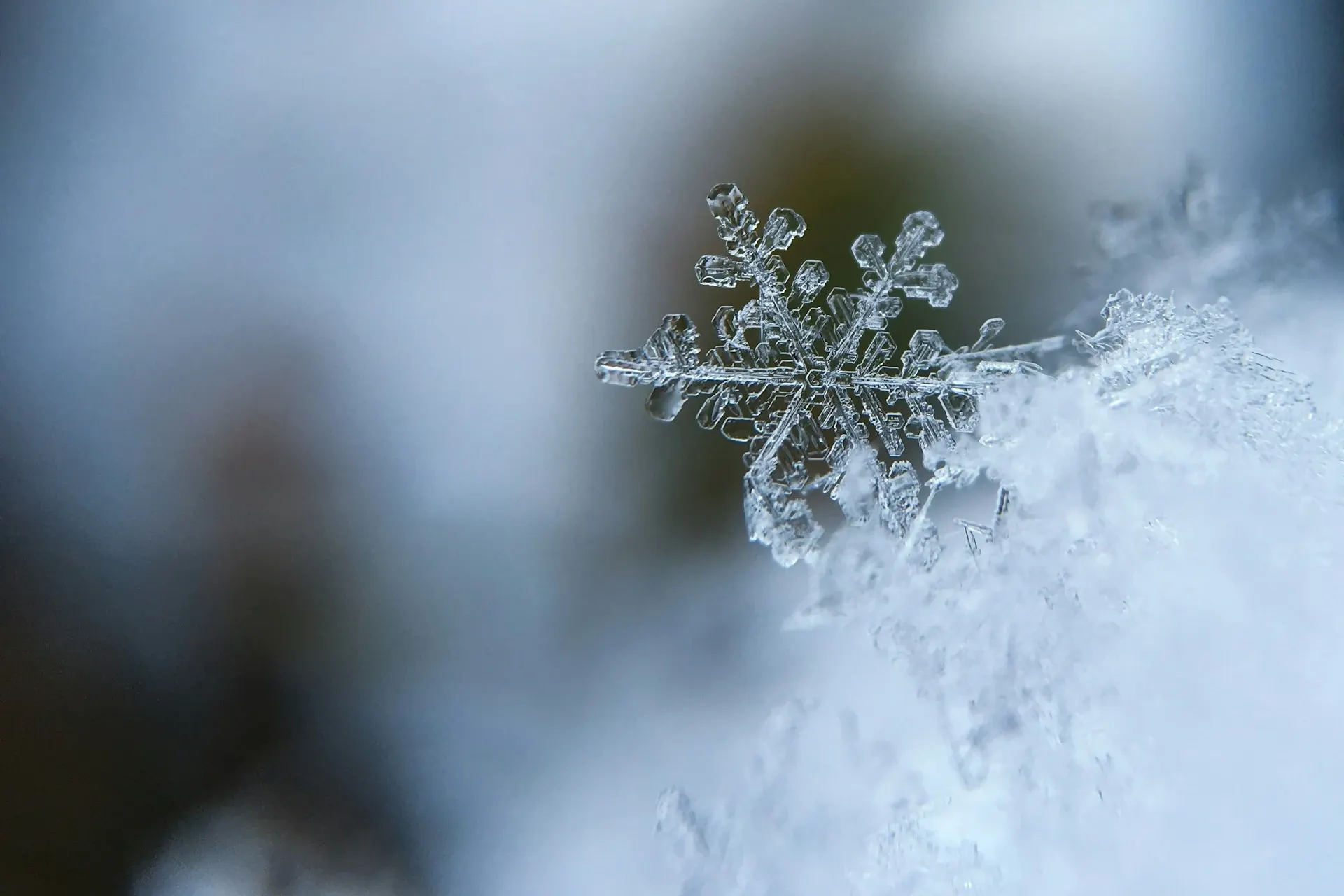 Fulg de zăpadă înghețat, surprins în prim-plan la temperaturi scăzute