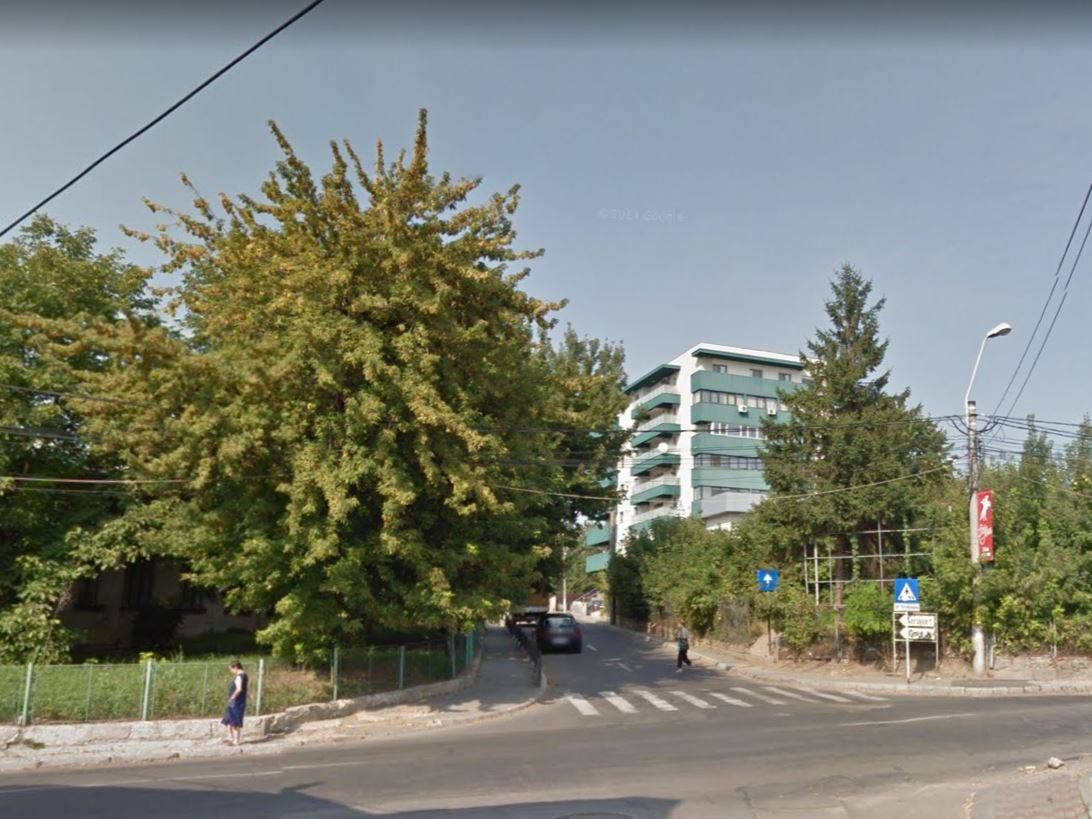 59537455_2459577800768180_1729993014144663552_o