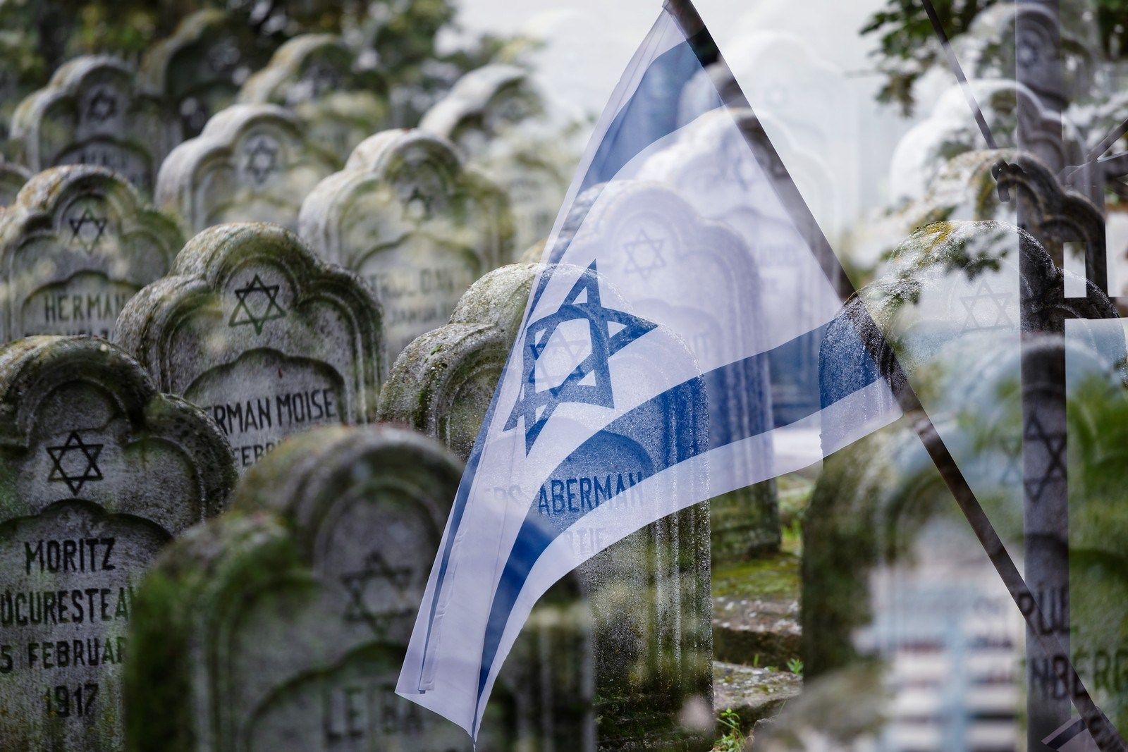 64908881_2546518265407466_4147558052691705856_o