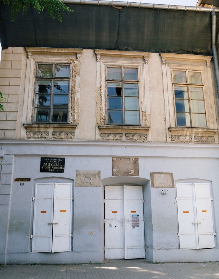 muzeul de istorie naturala