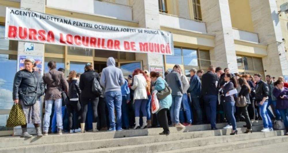 bursa-locuri-de-munca