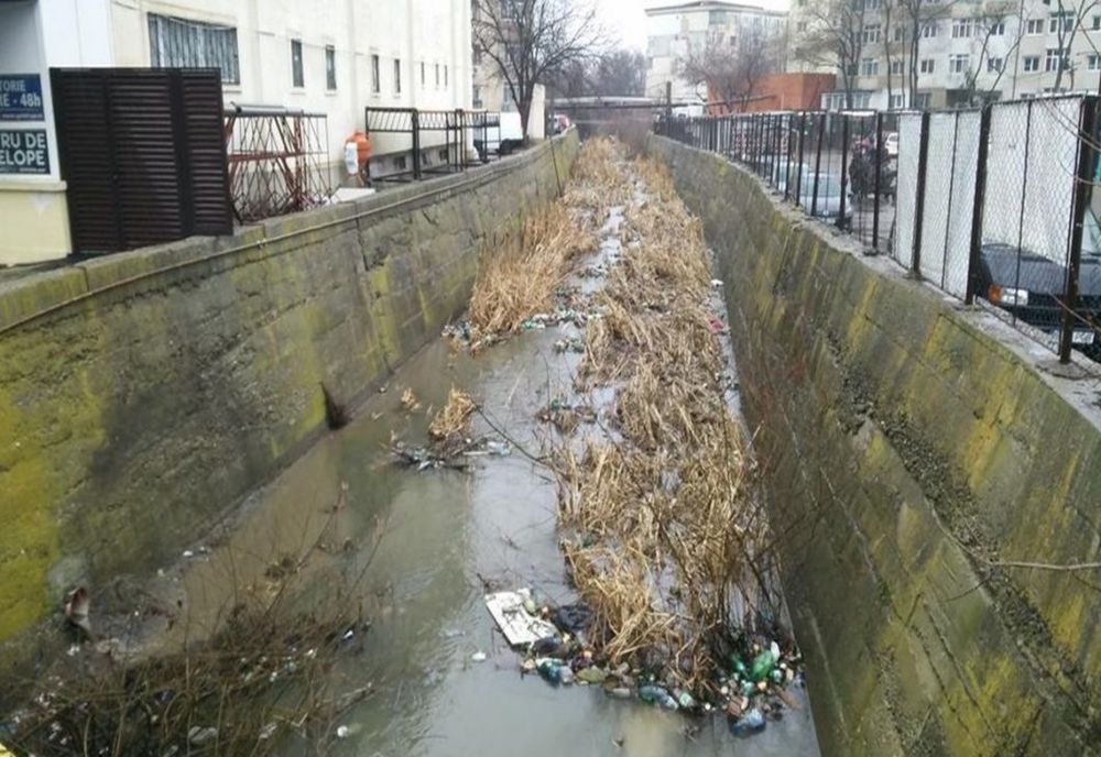 Albia unui râu din Iași, transformată în groapă de gunoi