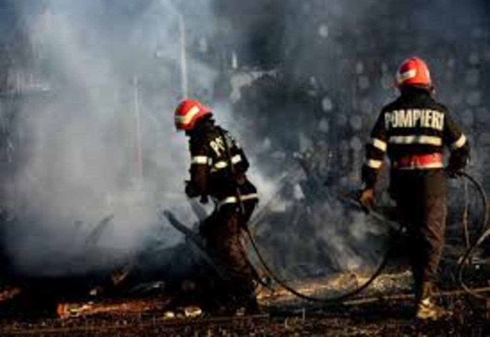 Drama unei familii din Iași: Au rămas fără lemne de foc în prag de Sărbători