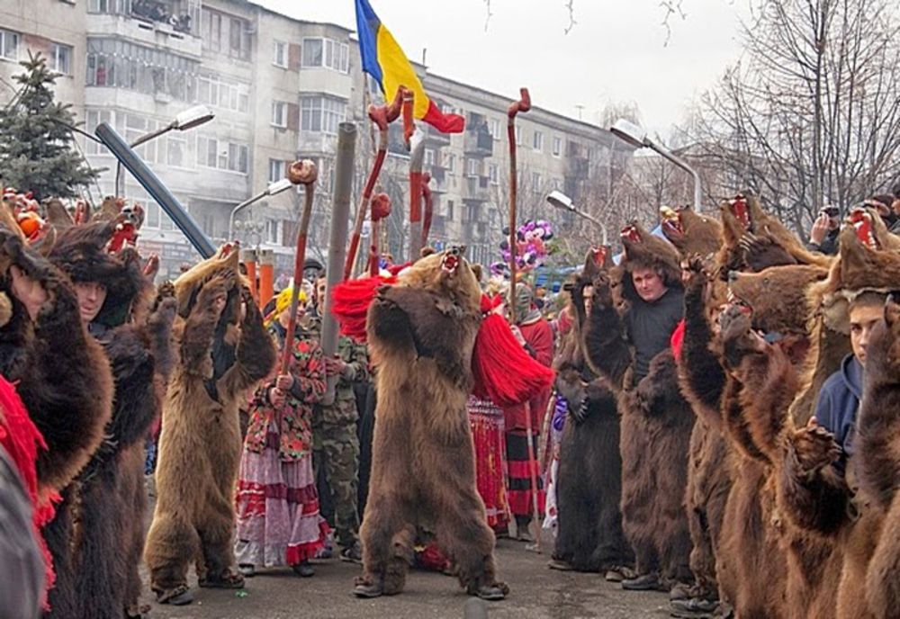 Urși pe Pietonalul Ștefan cel Mare, luni