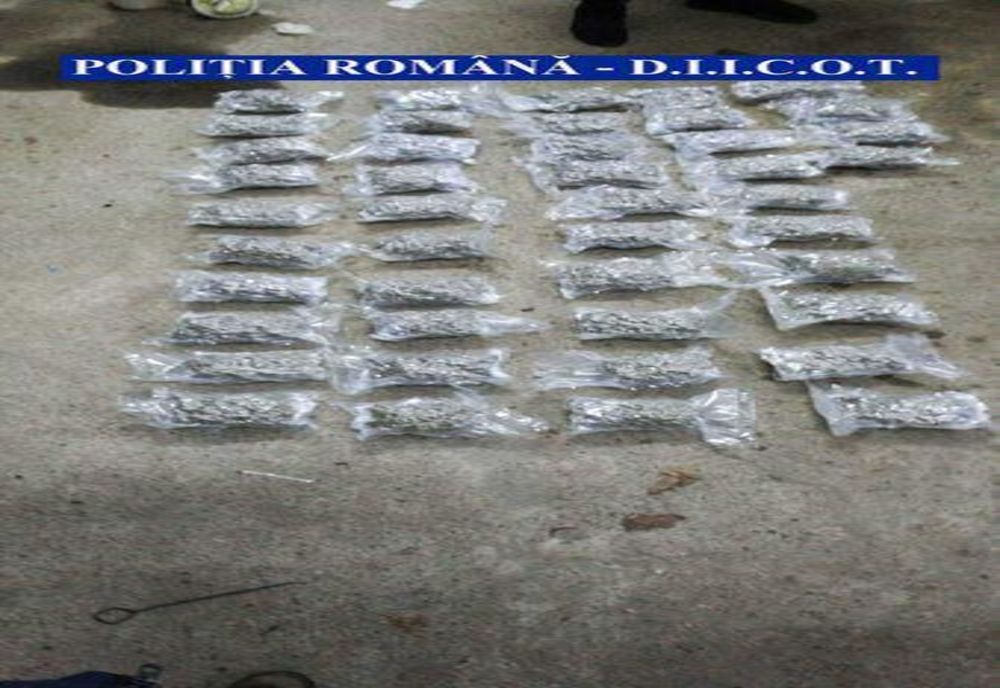 Lovitură grea dată traficanților de droguri, la Iaşi! Trei moldoveni, prinși cu peste 11 kilograme de cannabis! - FOTO