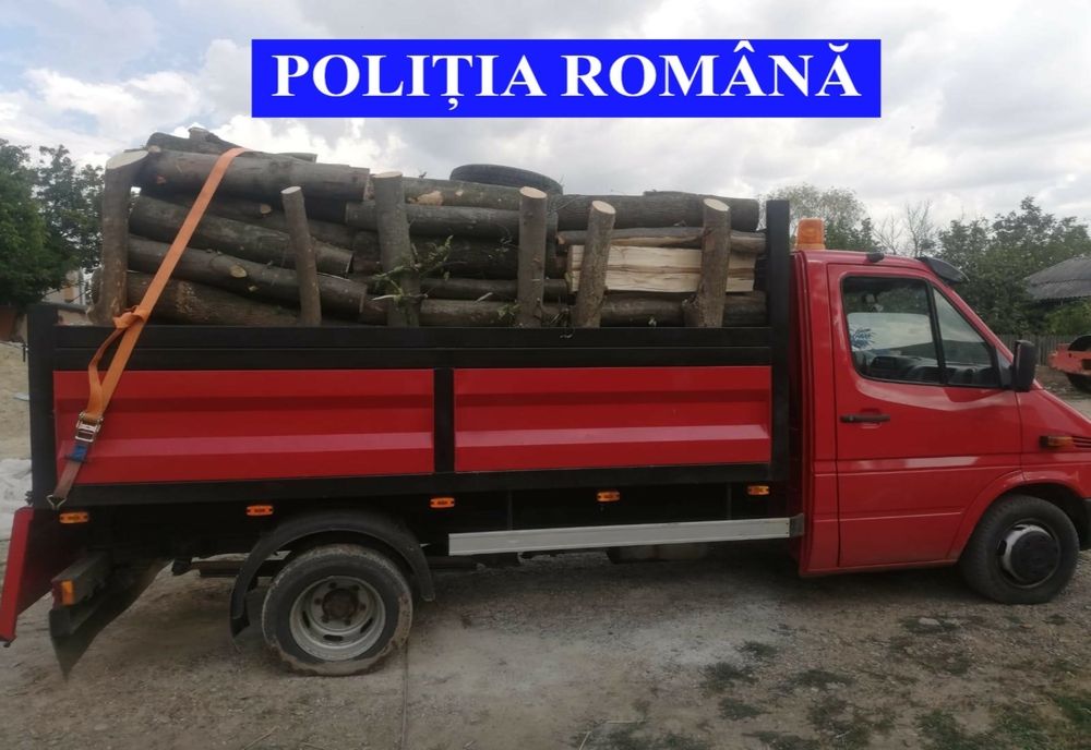 ”ACTION DAY – FORESTRY”- amenzi de peste 43.000 de lei