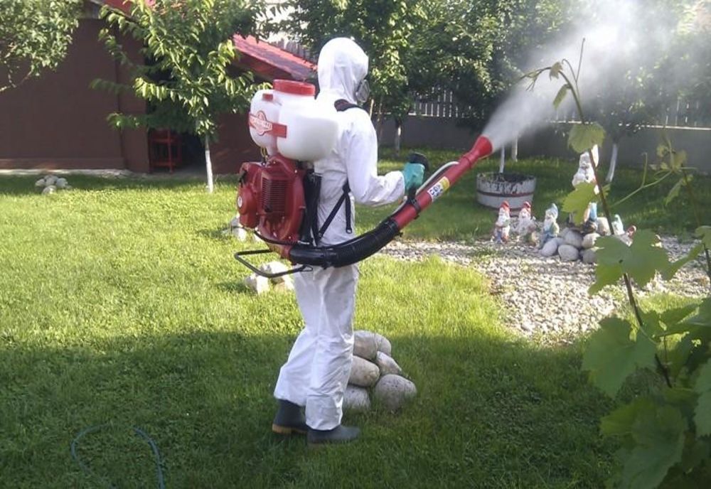 Acțiunile de dezinsecție, larvicidare și aplicare a tratamentelor împotriva căpușelor continuă la Iași