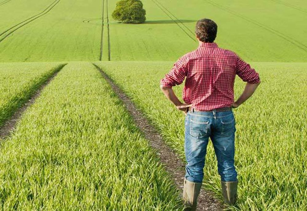 Noi măsuri de sprijin pentru tinerii fermieri