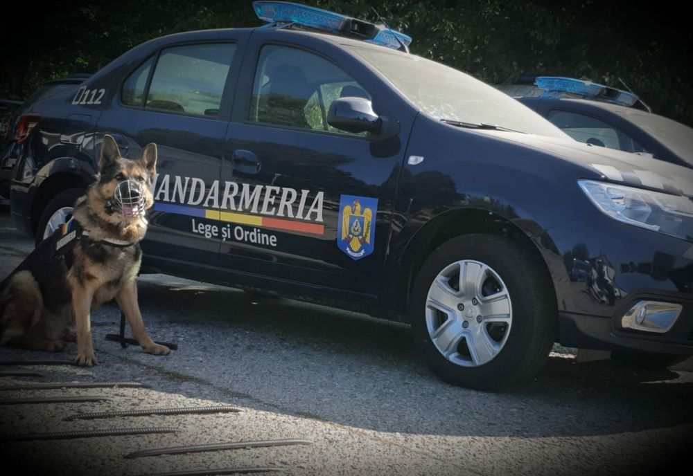 Amenzi de peste 19.000 de lei date de jandarmii ieșeni în două zile