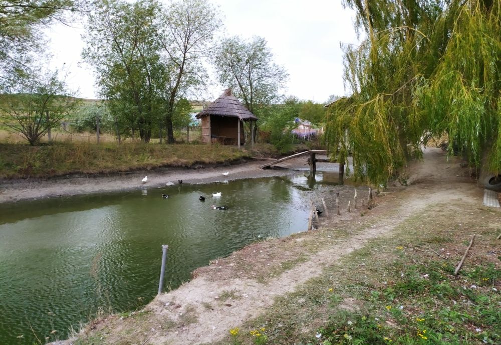 Bărbat înecat într-un iaz din Iași