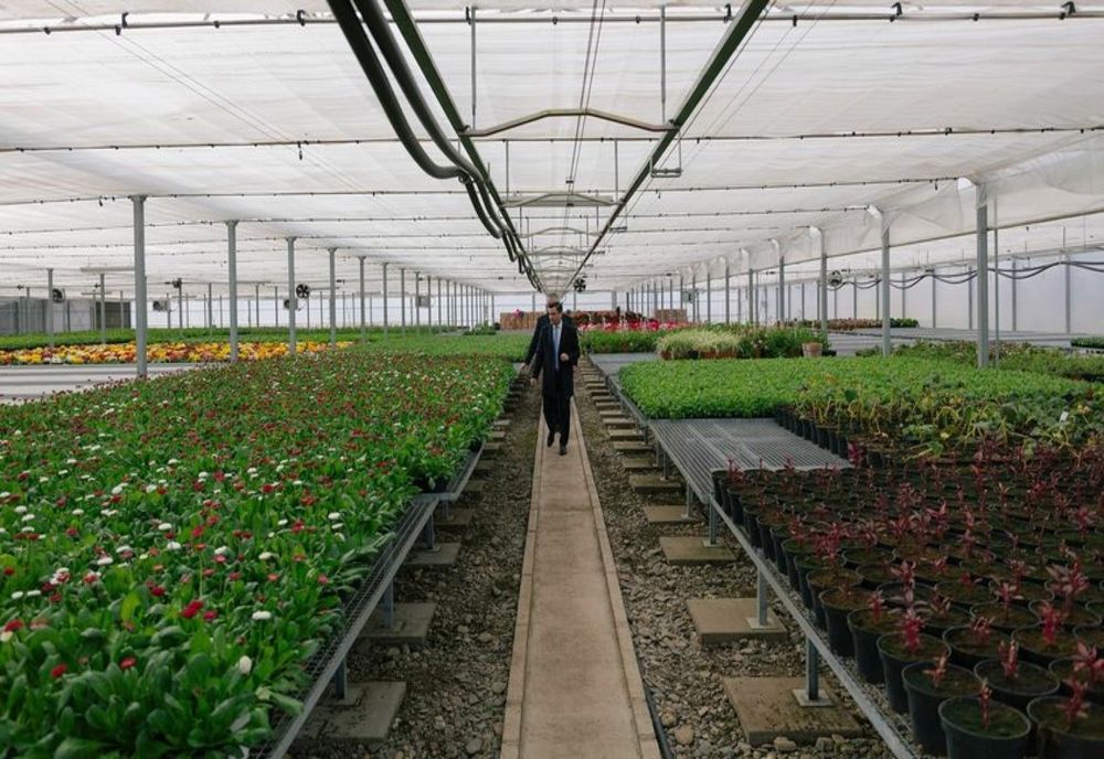 Pepiniera Municipiului Iași va fi extinsă cu 1.200 de metri pătrați