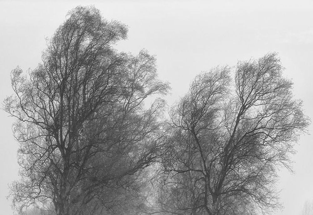 CODUL GALBEN DE VÂNT, prelungit până la ora 17:00