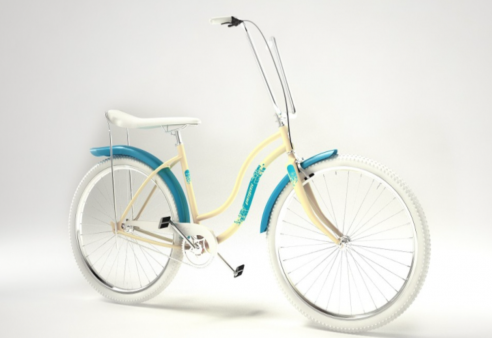 Doi tineri și-au riscat libertatea pentru o bicicletă 