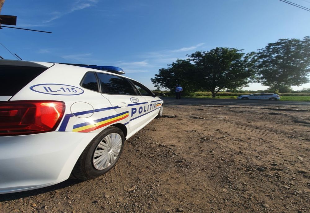 „Zmei” la 19 ani: au bătut un cioban și i-au furat o oaie și un pachet de țigări