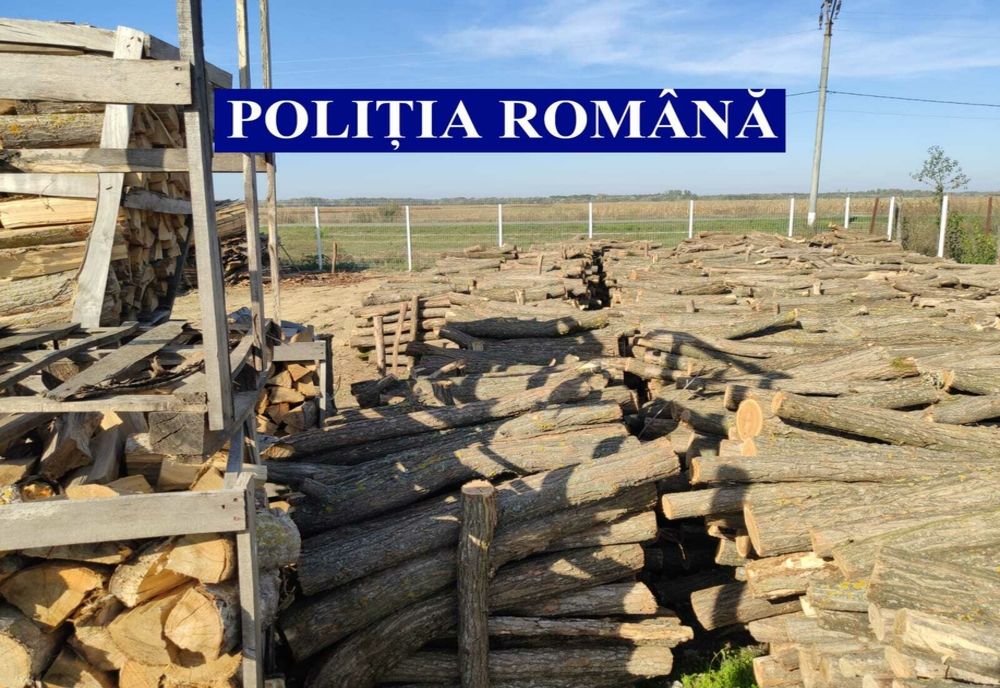 Lemne confiscate de polițiști