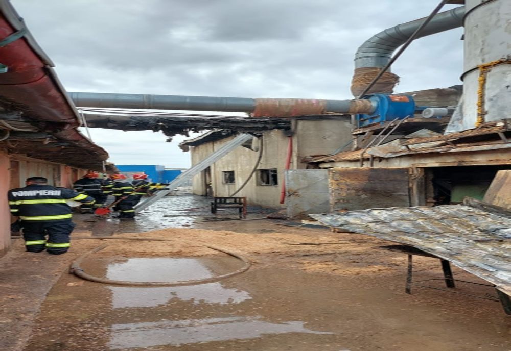 Incendiu la o fabrică de mobilă din Miroslava