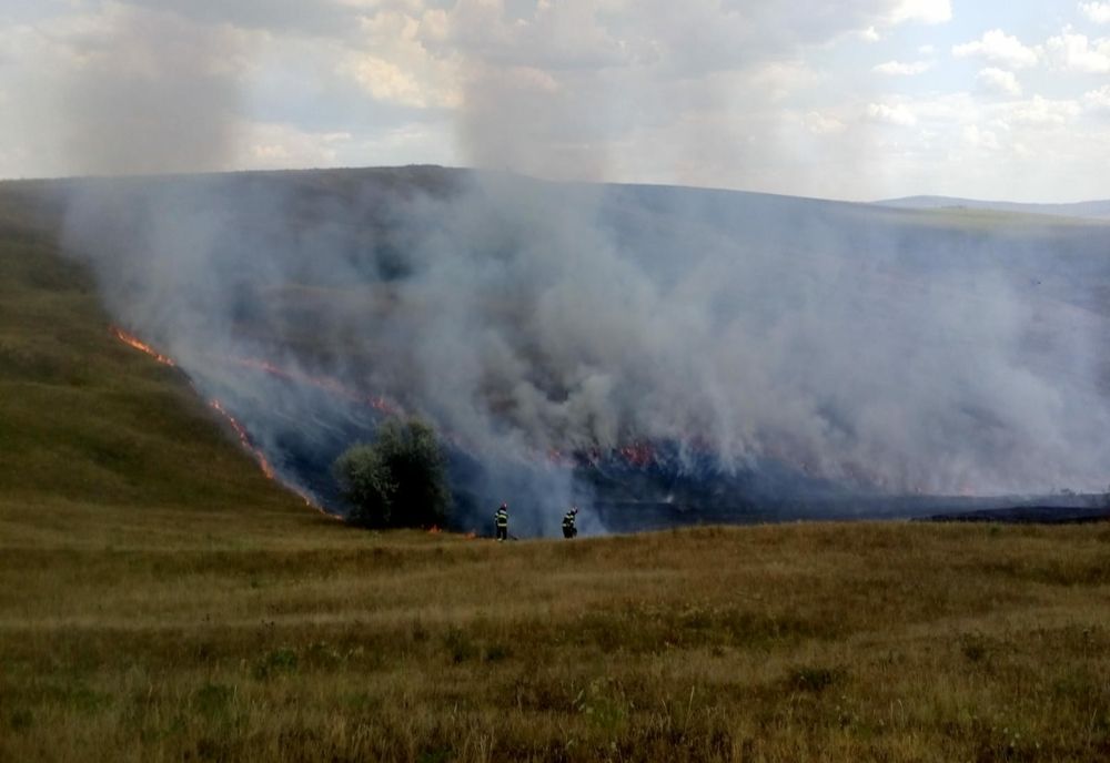 Pompierii luptă din greu cu incendiile de vegetație. Hectare întregi cuprinse de flăcări