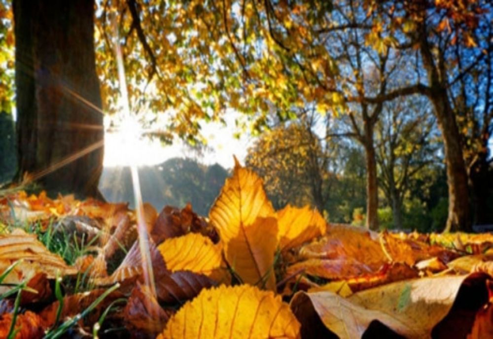 Vremea 7 septembrie - Cresc temperaturile în majoritatea zonelor