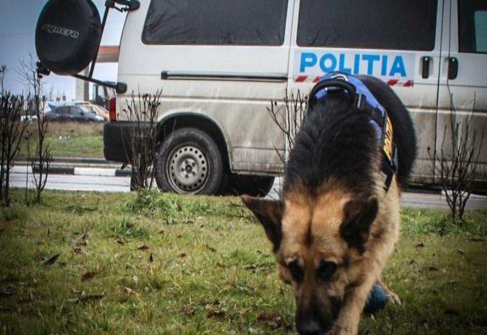 Mobilizare masivă pentru găsirea unui bărbat dispărut în pădure