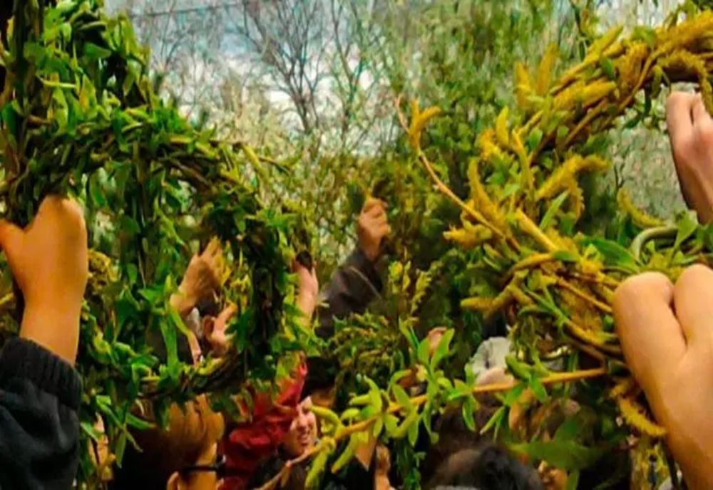 Tradiții și obiceiuri de Florii. La ce se folosesc, de fapt, ramurile de salcie