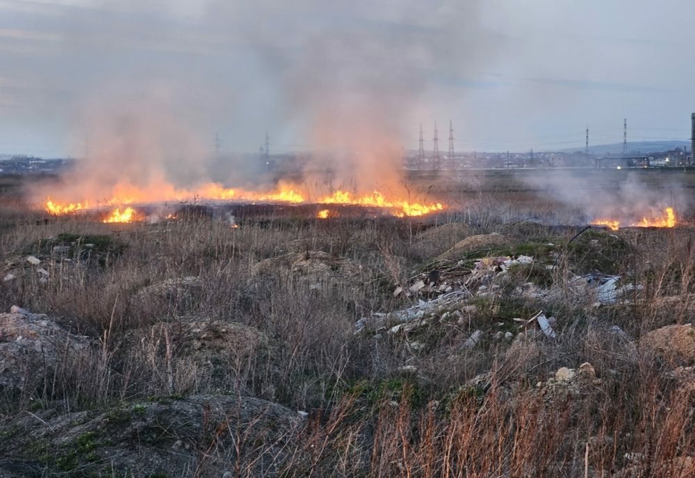 Incendiu de vegetație uscată la Tomești