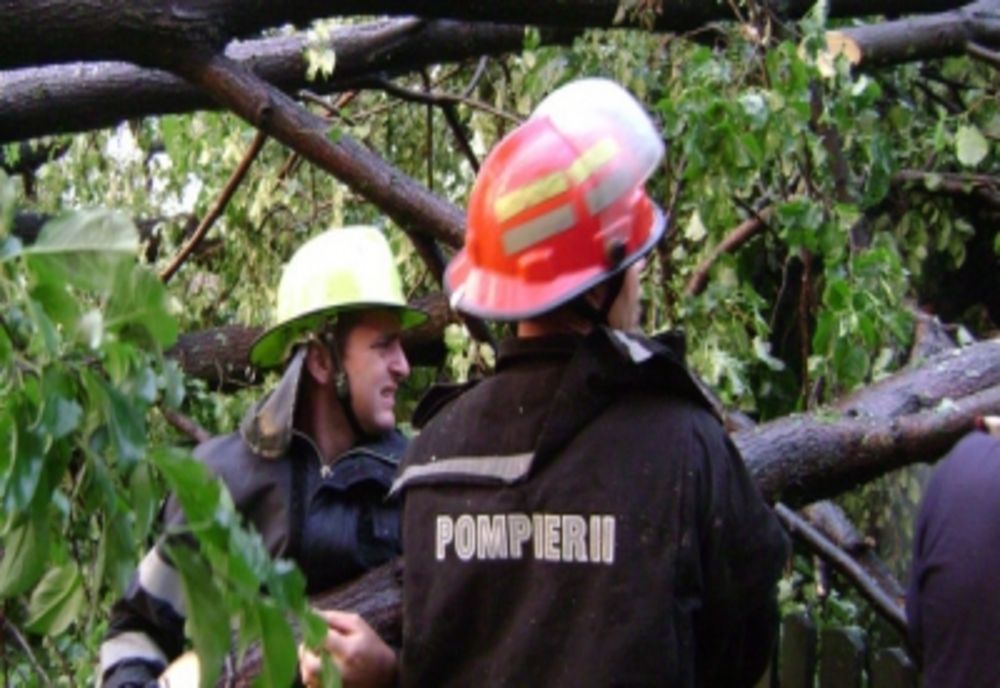 DOI COPACI S-AU PRĂBUȘIT ÎN CURTEA LICEULUI CU PROGRAM SPORTIV IAȘI