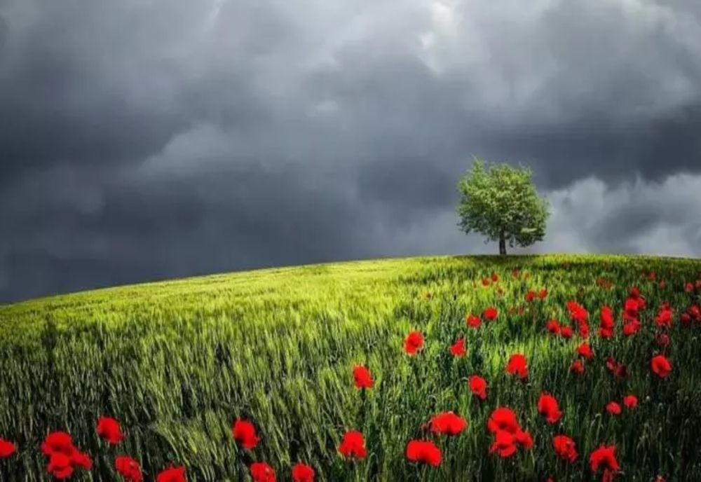 Cum va fi vremea în minivacanța de Rusalii - Prognoza pentru următoarele 4 săptămâni