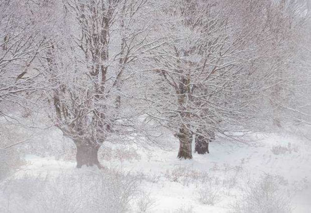 ANM: Vreme mai rece decât normalul perioadei până la jumătatea lunii ianuarie