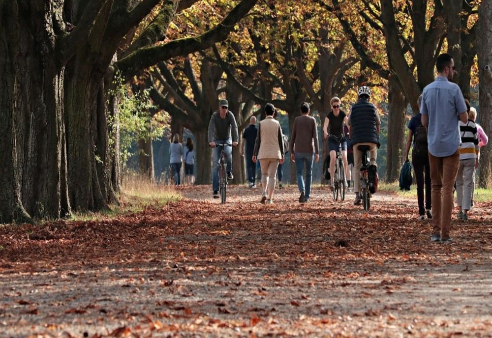 O comună are mai mulți șomeri decât municipiul reședință 