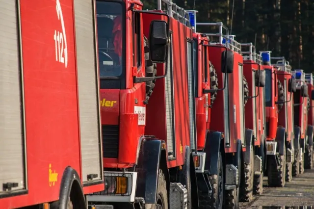 Incendiu devastator la casa lui Mircea Dinescu. Proprietatea s-a făcut scrum!