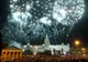 Zilele Iaşului se încheie astăzi cu un concert şi foc de artificii