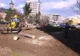 Primăria Iași a pus la pământ brazii din fața Palatului. Cum se scuză Chirica (FOTO - VIDEO)