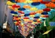 „Festivalul cu umbrele“ pe strada Lăpușneanu