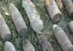 Un adevărat arsenal, descoperit într-o comună! La un pas de o tragedie!