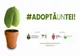 100 de tei vor fi plantați astăzi în oraș