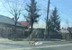 Accident rutier mortal, la Iași! O femeie a fost decapitată în urma impactului! - UPDATE