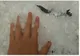 Prăpăd într-o comună din județul Iași: grindina a făcut ravagii prin curțile oamenilor! VIDEO