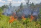 Zeci de hectare de vegetație uscată pârjolite în Iași. Sfaturile pompierilor