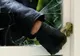 Un ieșean a furat 180.000 lei dintr-o locuinţă din judeţul Vaslui