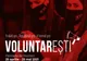 Program de voluntariat la unicul festival din ţară dedicat exclusiv filmului românesc 